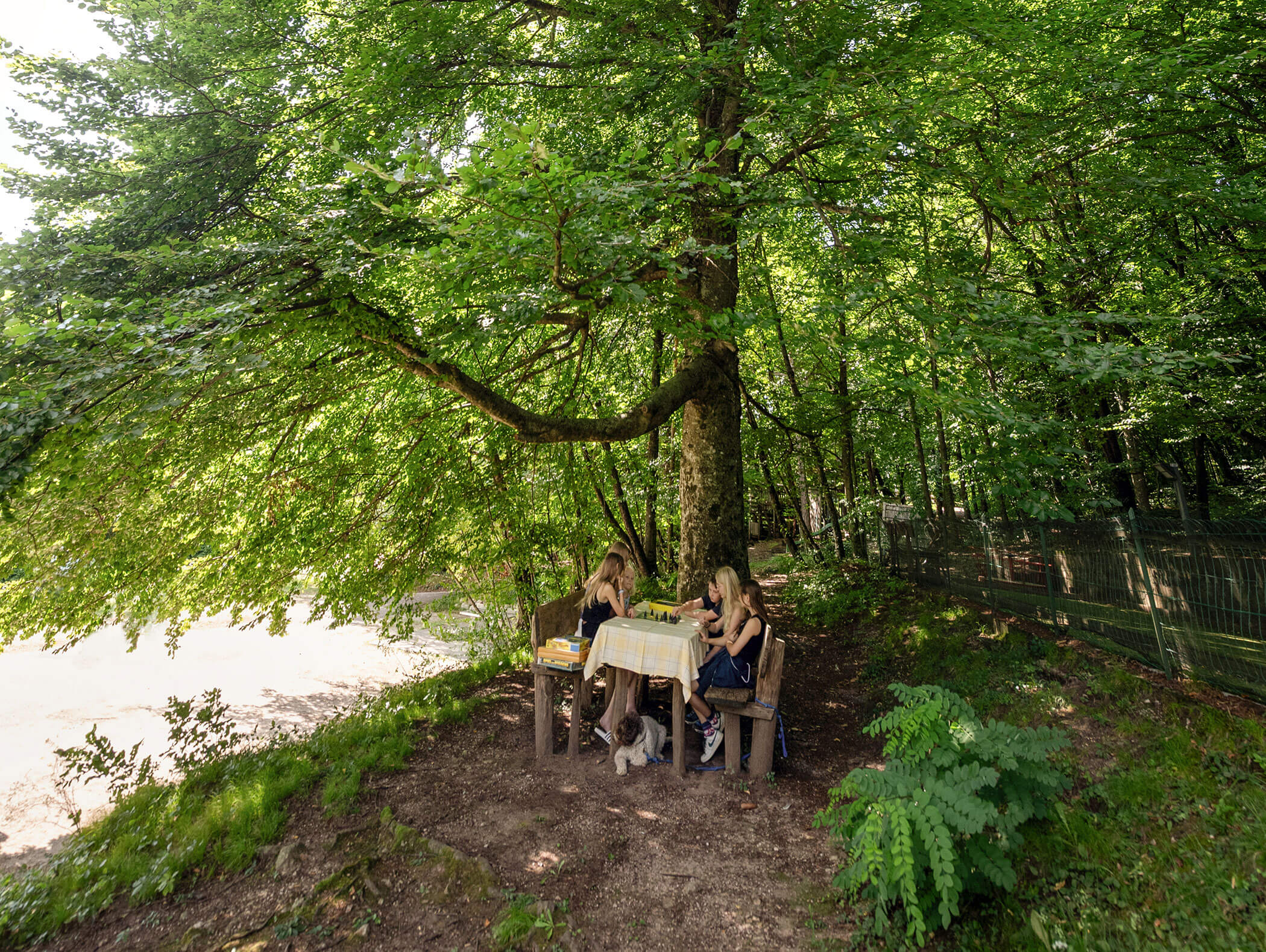 Zwei Personen sitzen an einem Tisch unter einem großen Baum in einem üppigen, grünen Wald und genießen eine gemeinsame Mahlzeit. - Wandergasthof Steinegger
