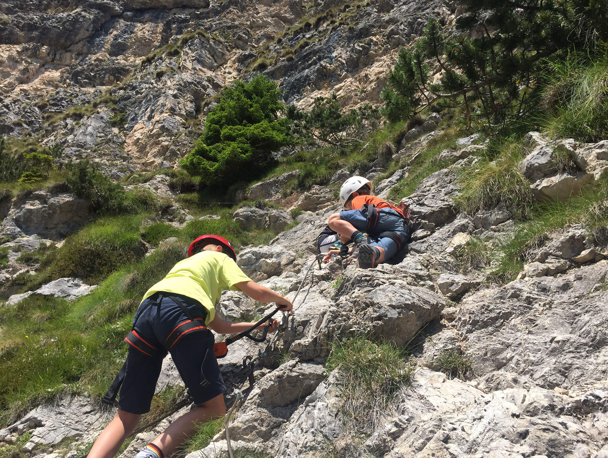 Zwei Kinder mit Helmen und Klettergurten klettern an einem steilen, felsigen Hang im Freien, der von Grün umgeben ist. - Wandergasthof Steinegger