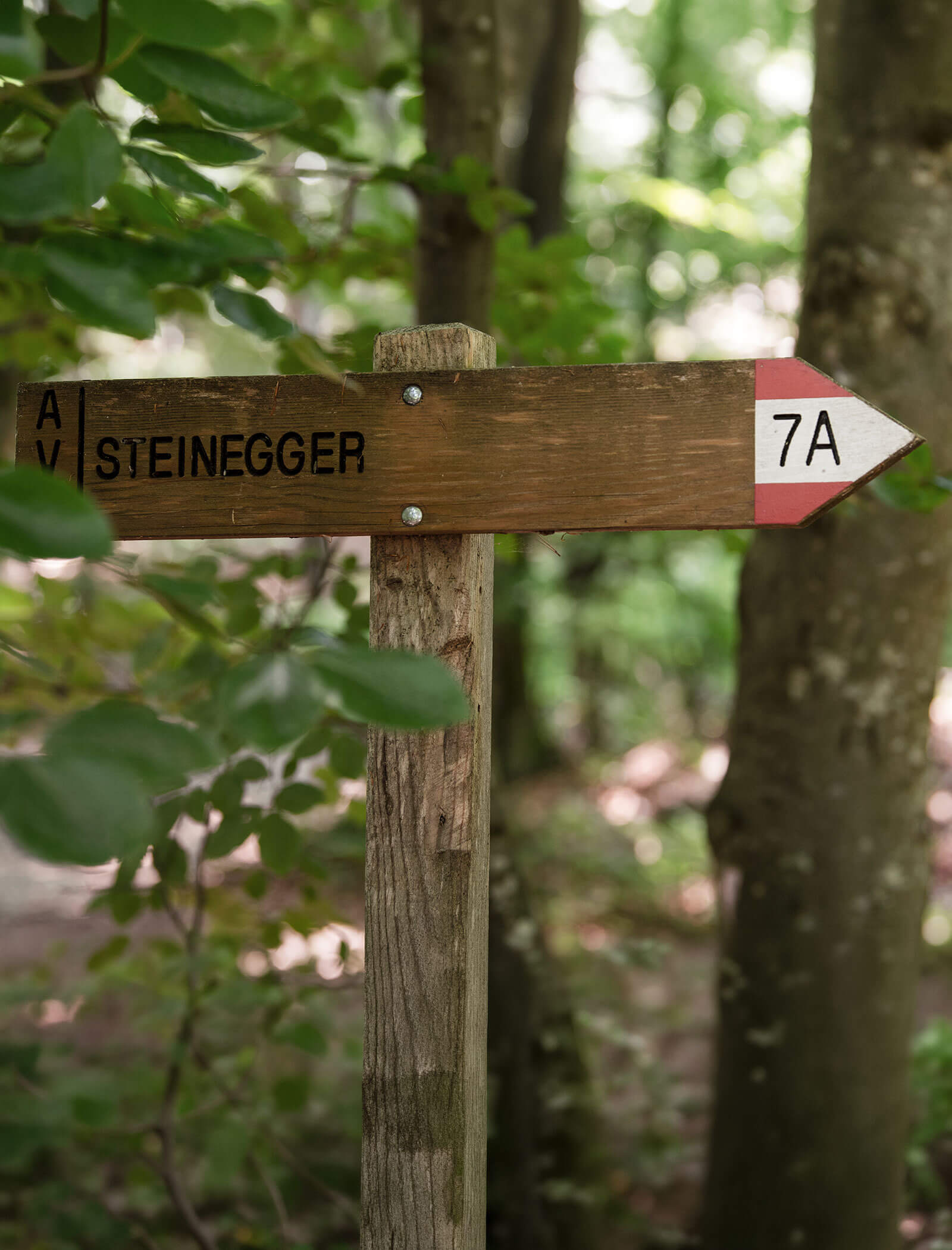 Hölzernes Wegweiserschild in einem Wald, das nach rechts zeigt, mit der Aufschrift STEINEGGER 7A und Grünzeug im Hintergrund. - Wandergasthof Steinegger