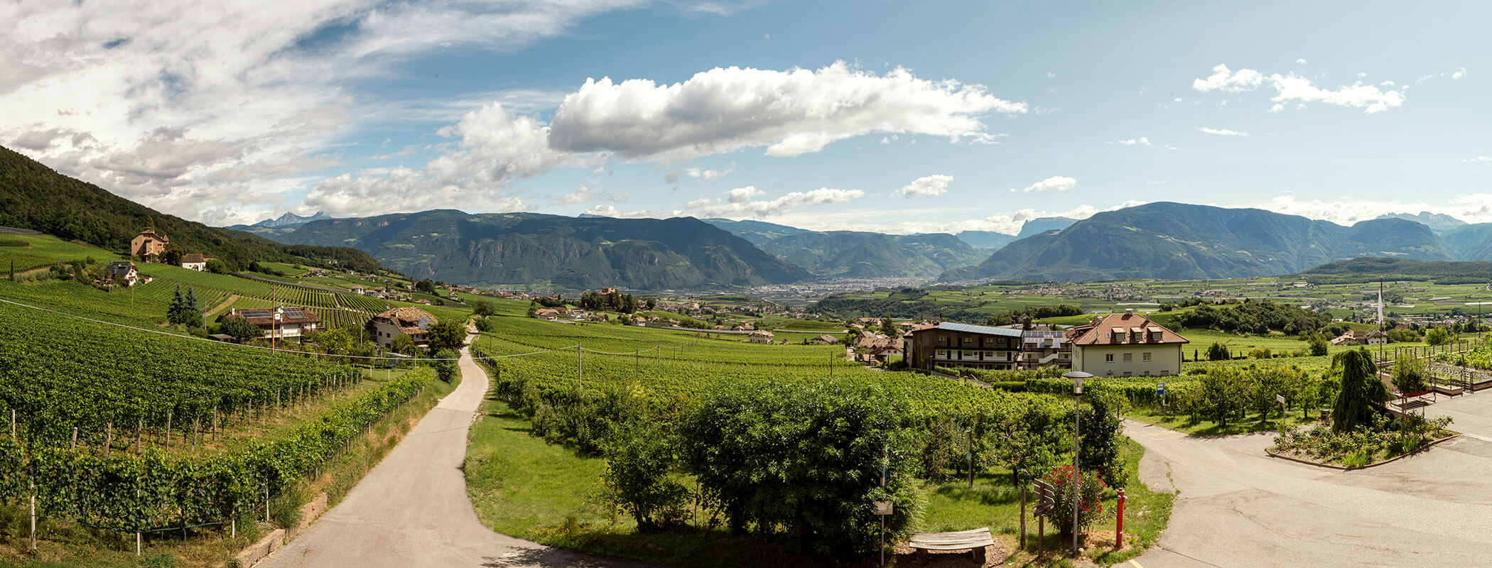 Panoramic view of green vineyards, scattered houses, and distant mountains under a partly cloudy sky. - Wandergasthof Steinegger