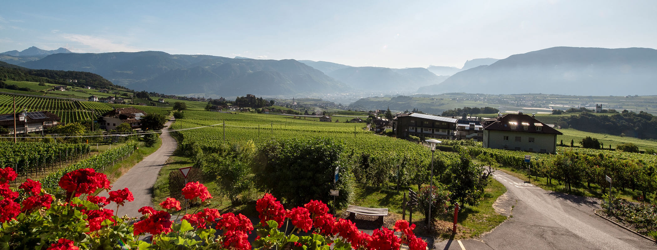 Fiori rossi si affacciano su un paesaggio rurale con vigneti, case e montagne lontane sotto un cielo nebuloso. - Wandergasthof Steinegger