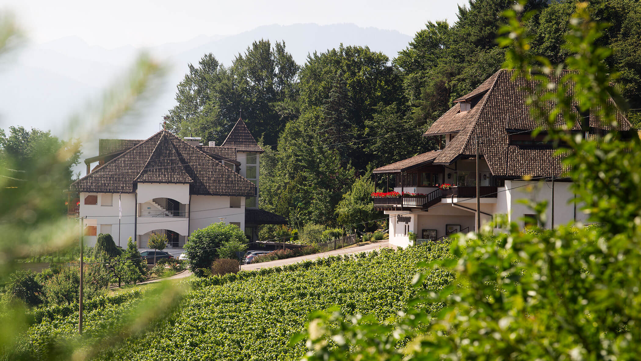 Zwei rustikale Häuser mit Schindeldächern, umgeben von üppig grünen Bäumen und einem Weinberg auf einem Hügel. - Wandergasthof Steinegger
