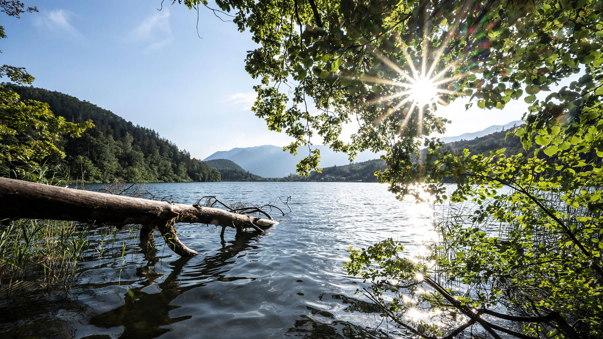 Das Sonnenlicht strömt durch die belaubten Äste über einen ruhigen See, der von bewaldeten Bergen und Hügeln umgeben ist. - Wandergasthof Steinegger
