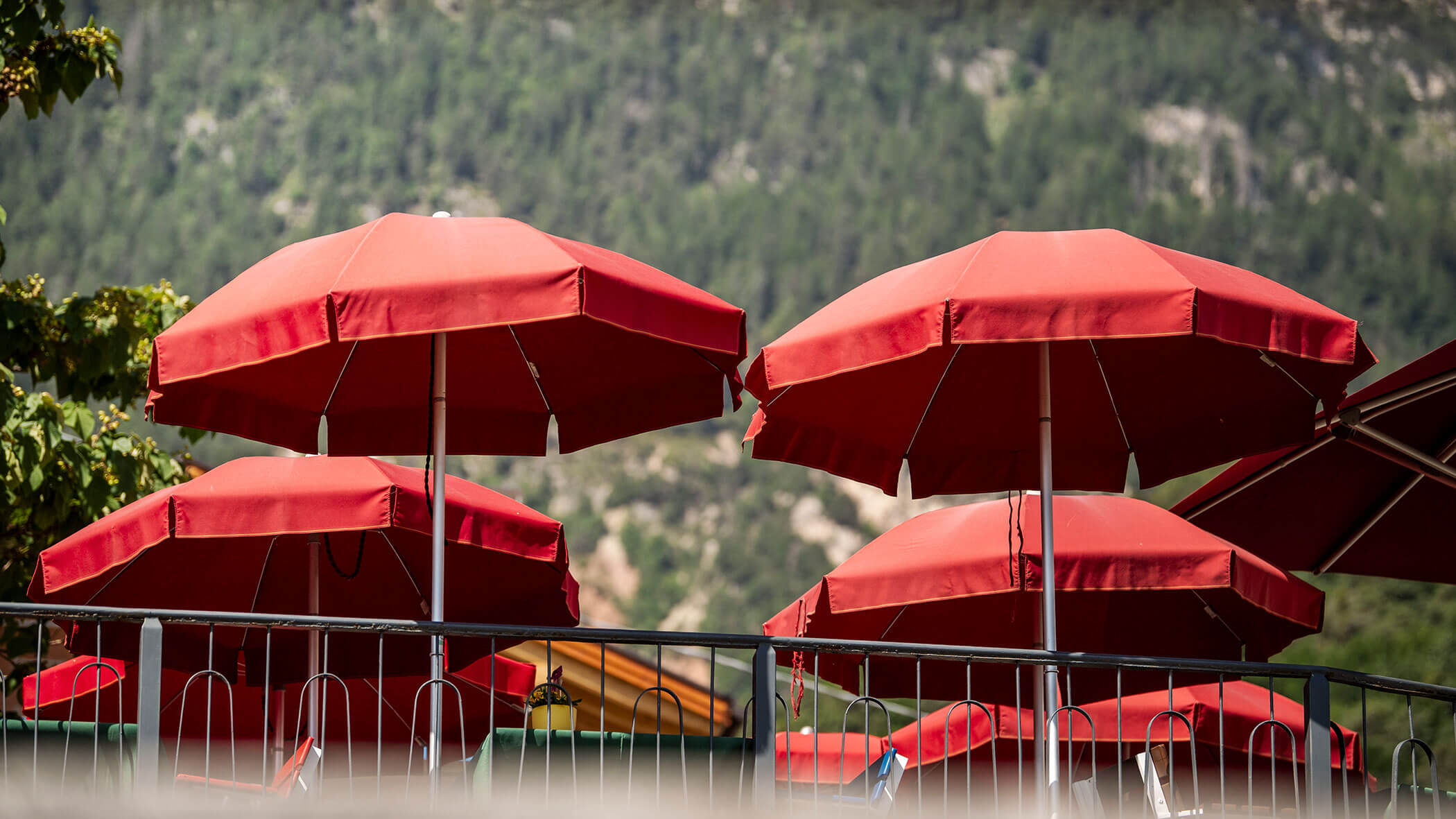 Vier rote Sonnenschirme auf einer Terrasse mit einem verschwommenen Berg und Bäumen im Hintergrund. - Wandergasthof Steinegger