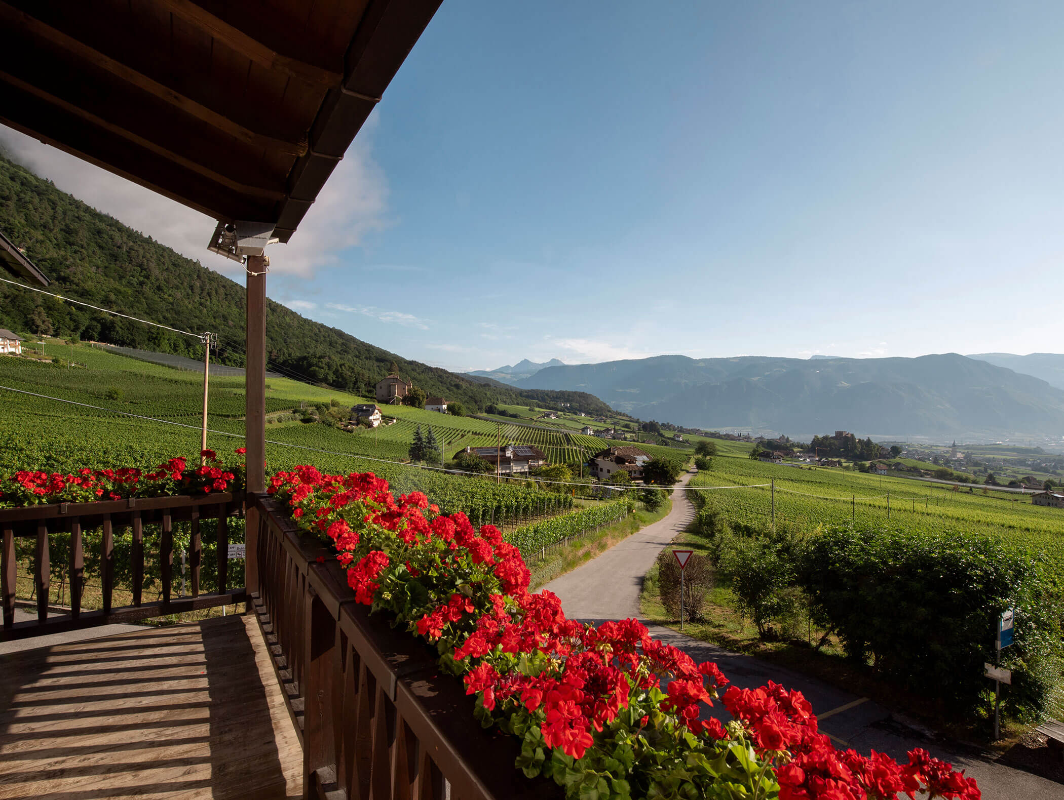 A balcony with red flowers overlooks a green vineyard and winding road under a clear blue sky and mountains. - Wandergasthof Steinegger