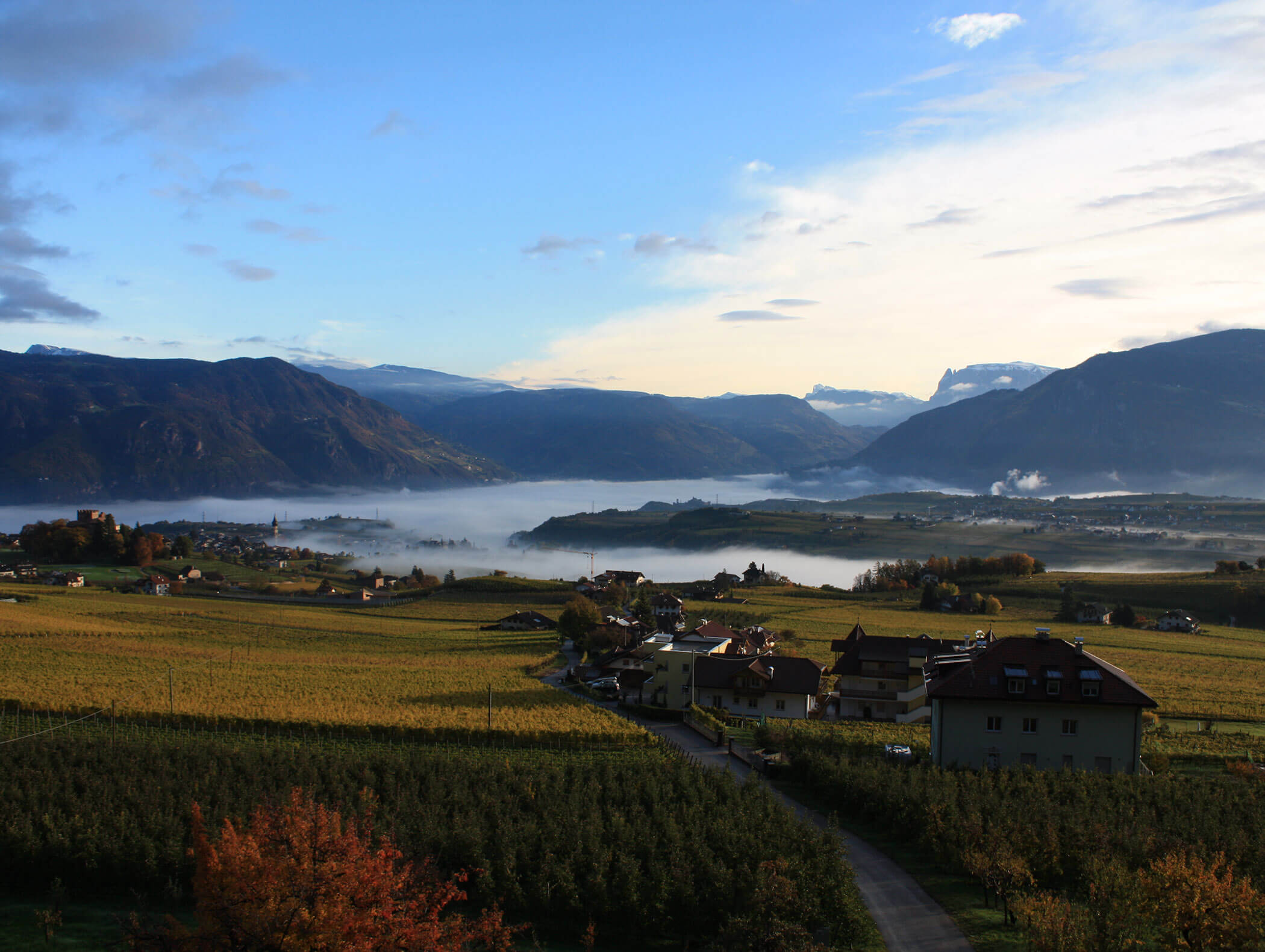 A village with fields and houses, surrounded by mountains and low-lying fog under a blue sky. - Wandergasthof Steinegger