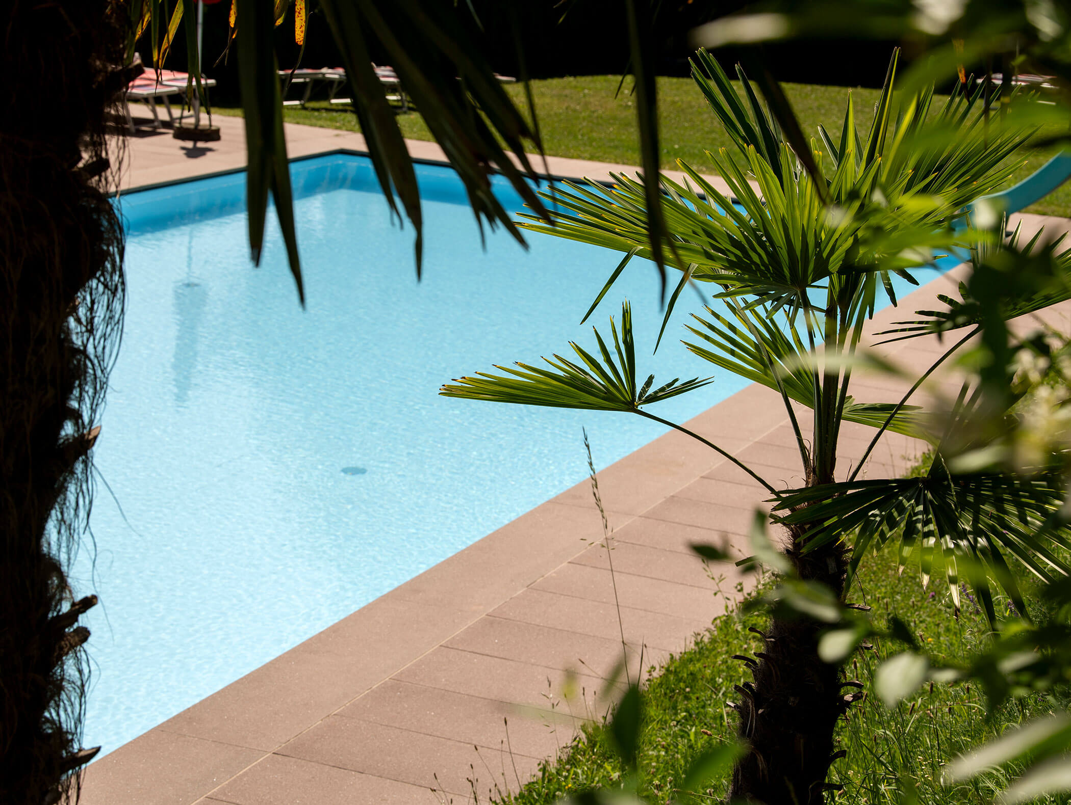 Piscina con acqua cristallina, delimitata da palme e lettini sullo sfondo. - Wandergasthof Steinegger