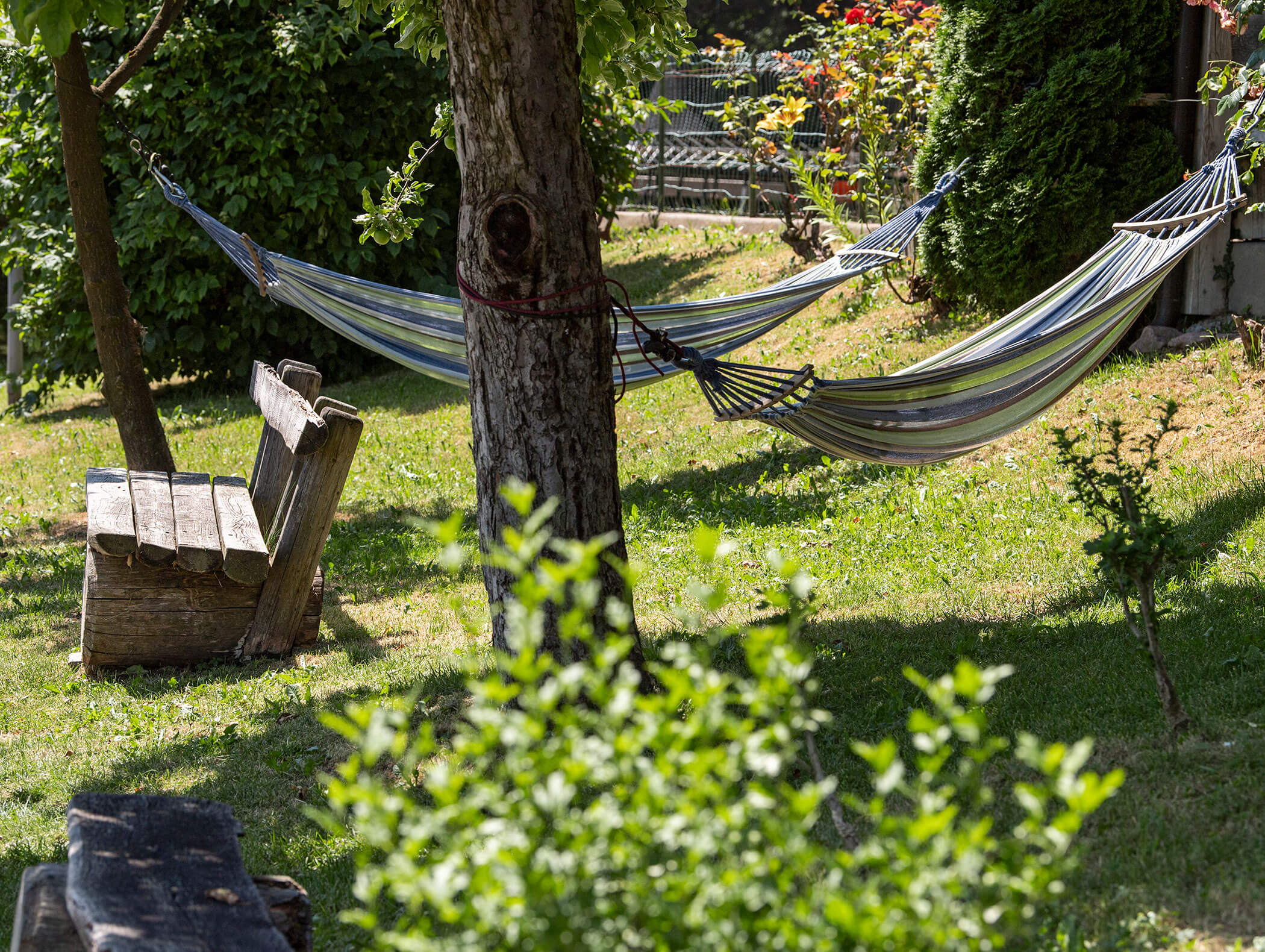 Due amache a righe sono appese tra gli alberi in un giardino soleggiato con una panchina di legno nelle vicinanze. - Wandergasthof Steinegger