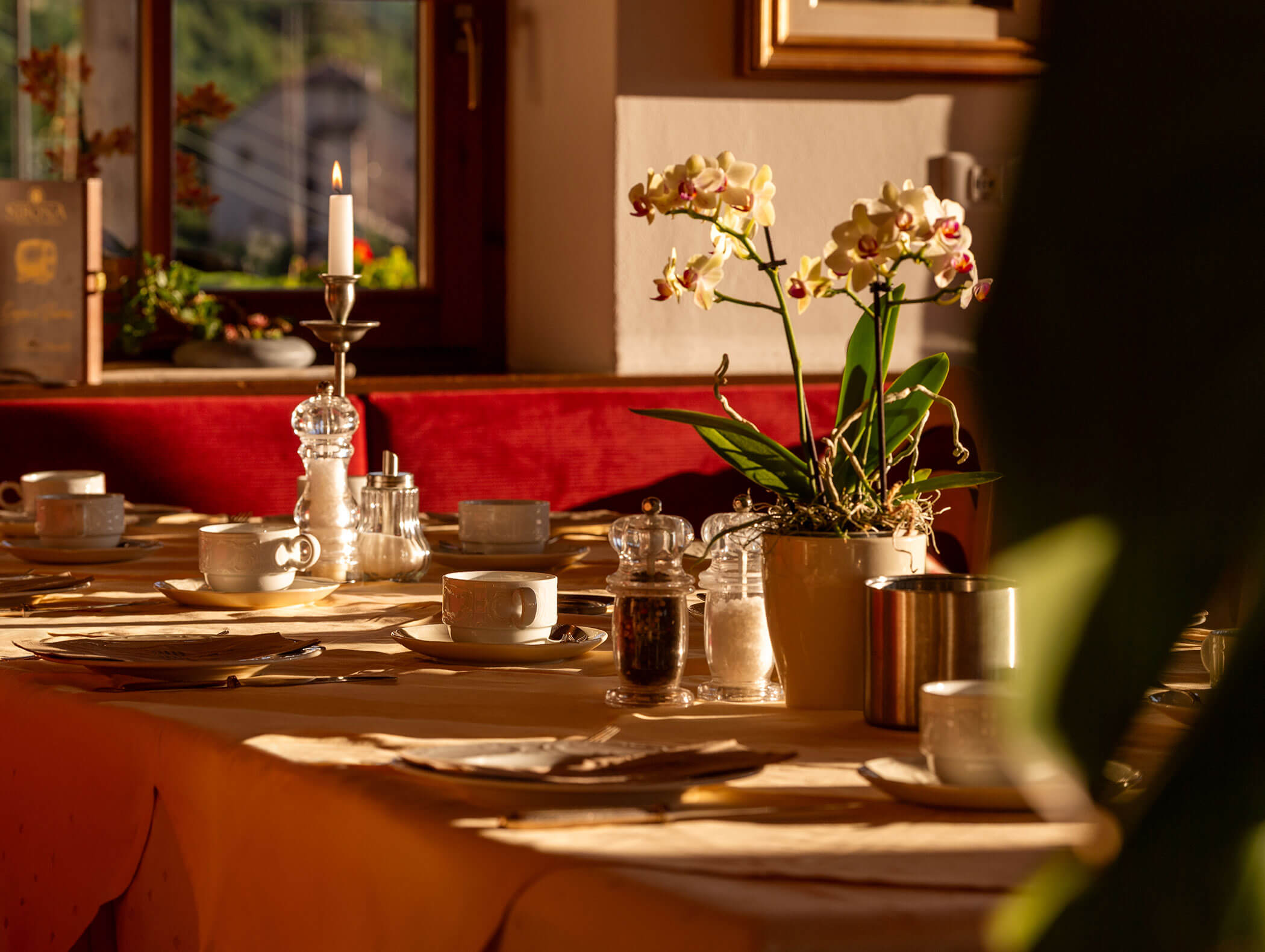 Elegante tavolo da pranzo con tazze, piatti, una candela, una pianta di orchidea e la luce del sole che filtra dalla finestra. - Wandergasthof Steinegger