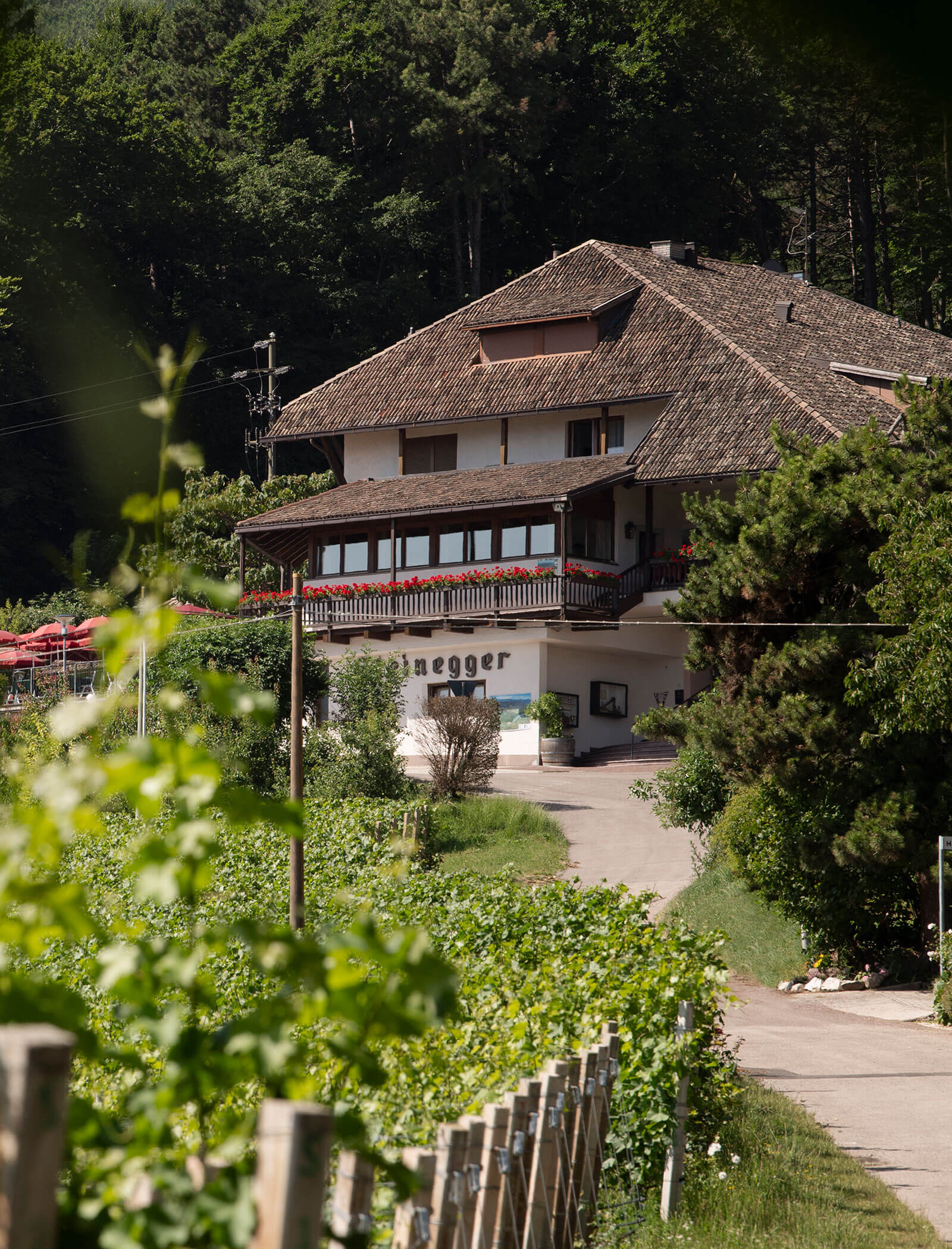A rustic house with a tile roof sits beside a winding path, surrounded by green plants and trees. - Wandergasthof Steinegger