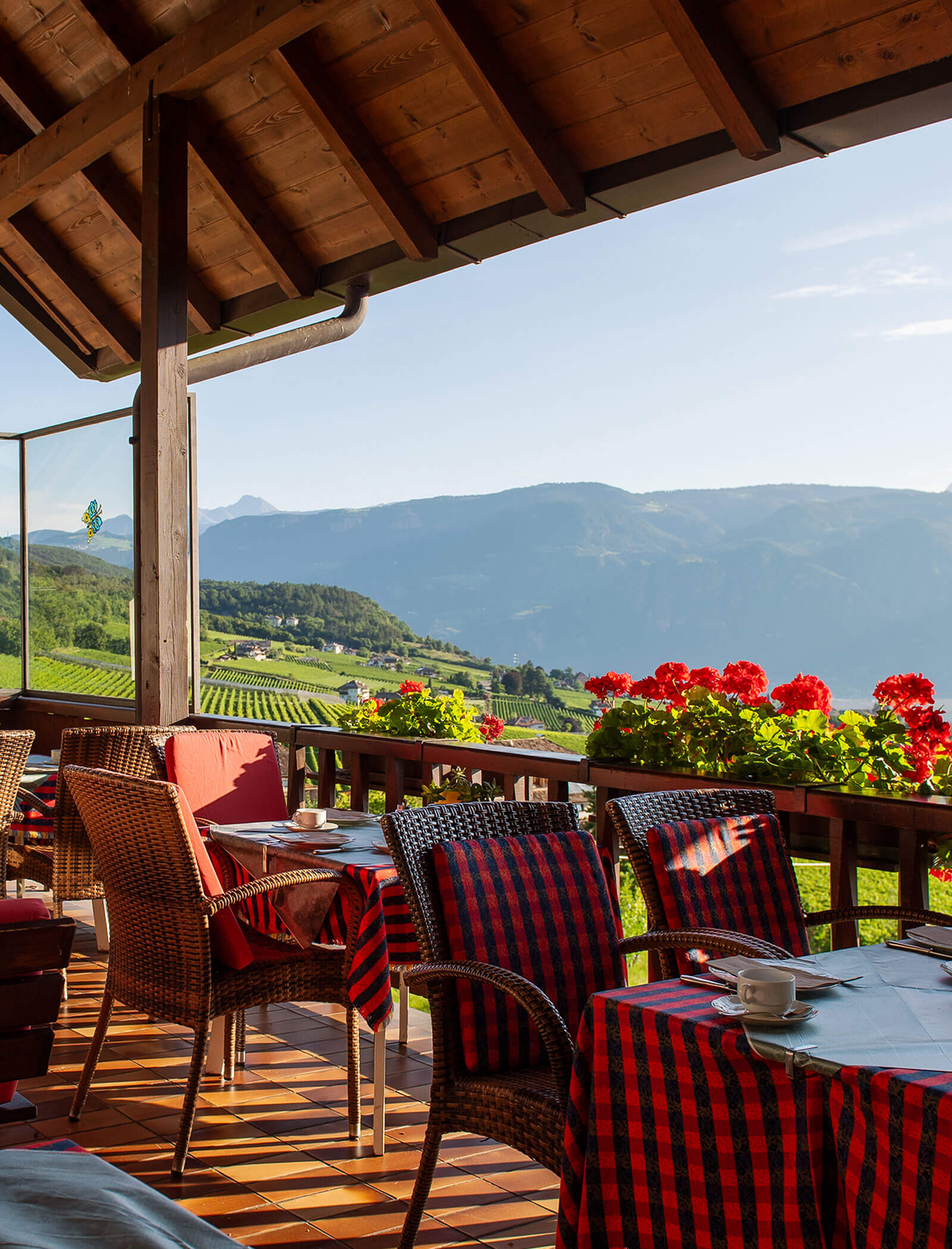 Außenterrasse mit roten Blumen, gedeckte Tische zum Essen, Blick auf grüne Hügel und ferne Berge. - Wandergasthof Steinegger
