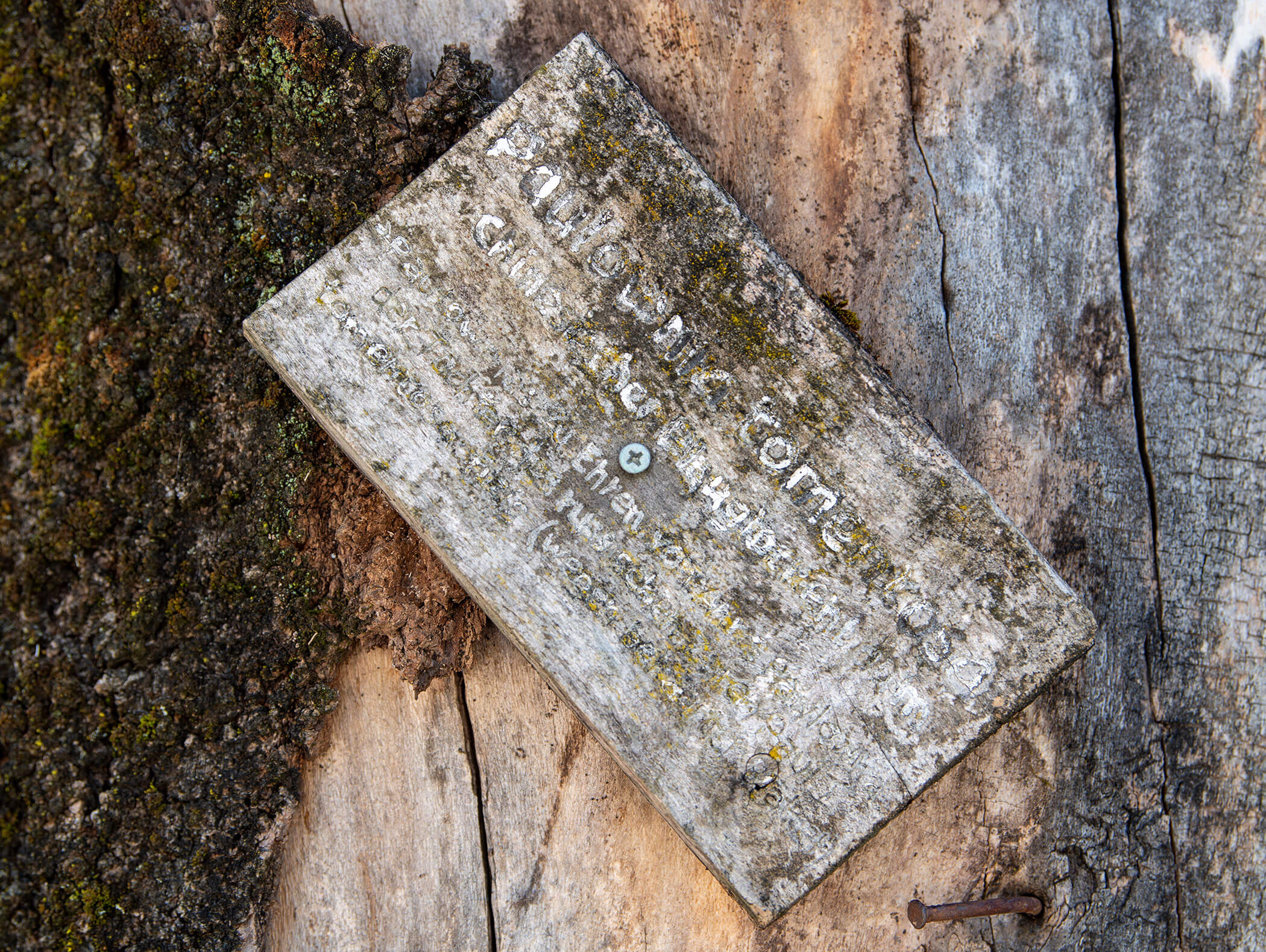 Weathered metal sign with faded, barely readable text, attached to a tree trunk with moss. - Wandergasthof Steinegger