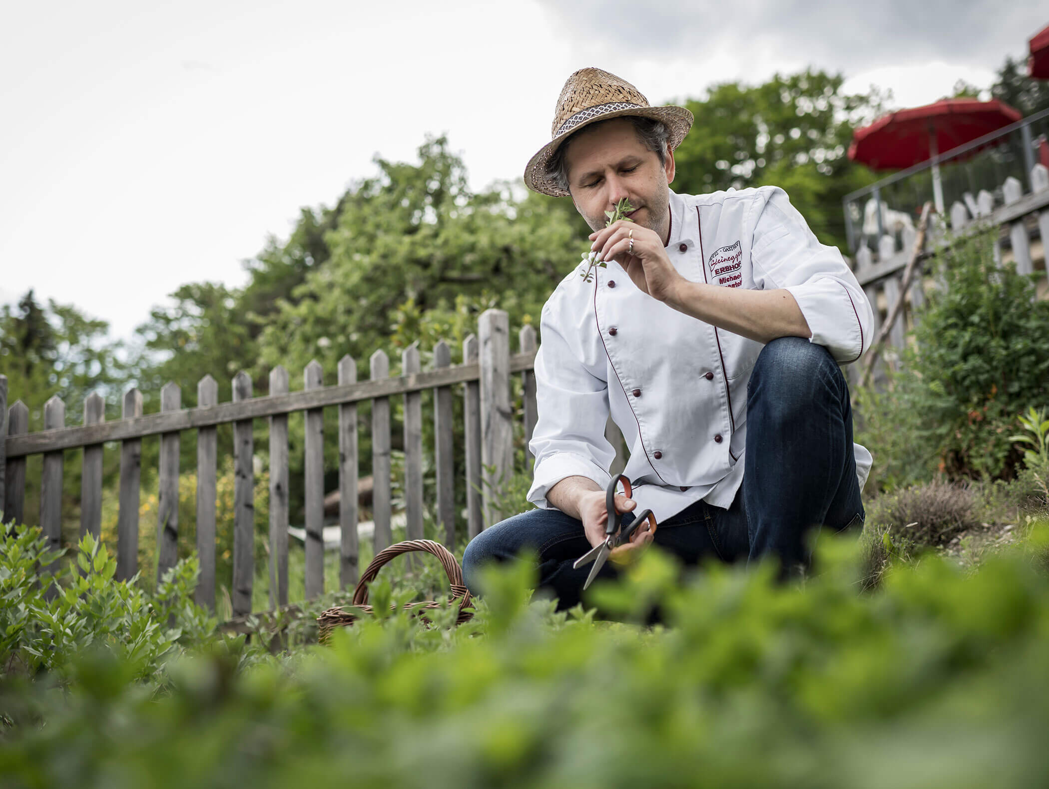 Chef in a white coat kneels in a garden, smelling fresh herbs with scissors and a basket nearby. - Wandergasthof Steinegger