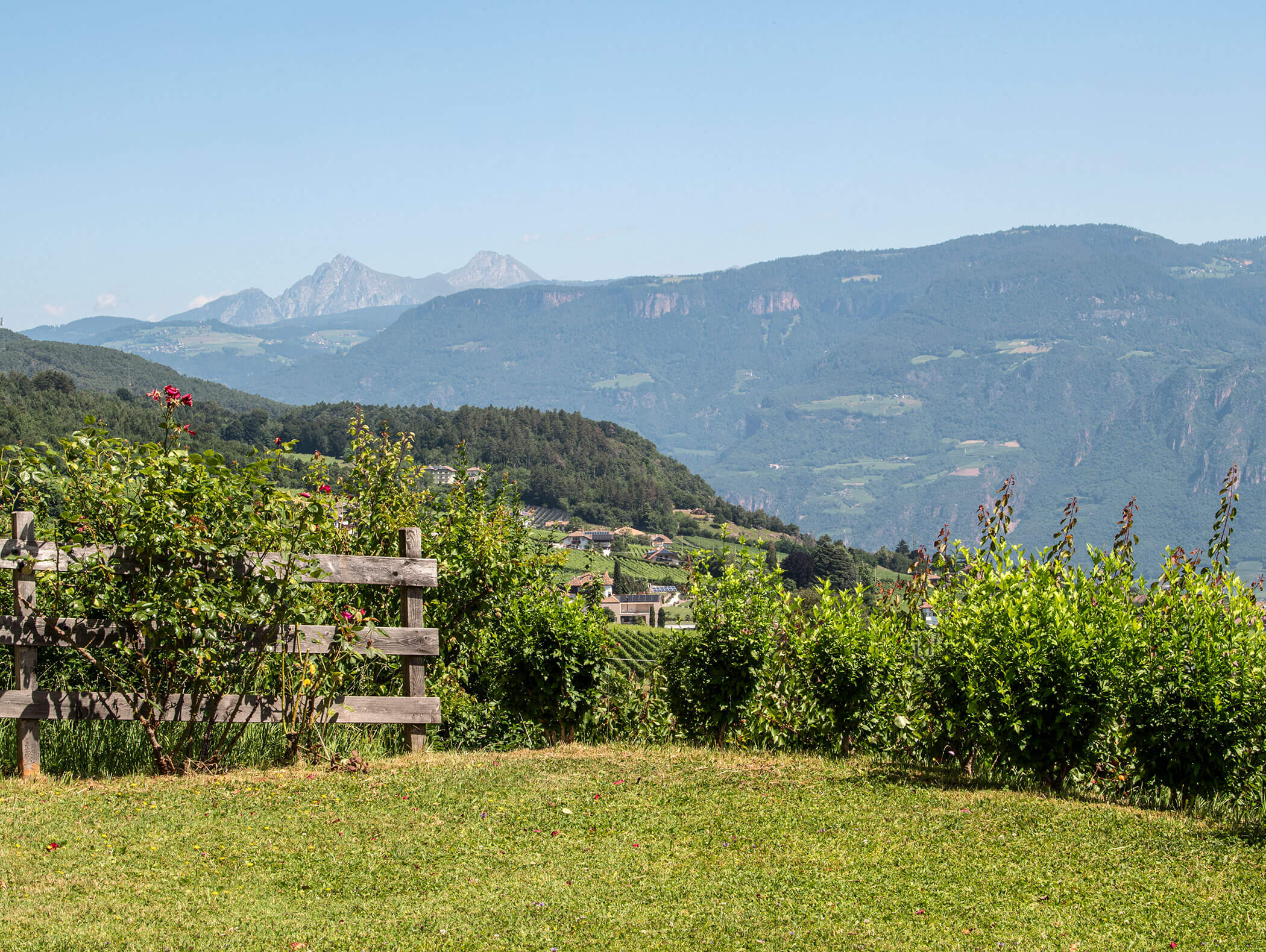 Sunny hillside garden with a wooden fence, green bushes, and distant mountains under a clear sky. - Wandergasthof Steinegger